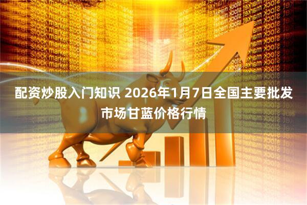 配资炒股入门知识 2026年1月7日全国主要批发市场甘蓝价格行情
